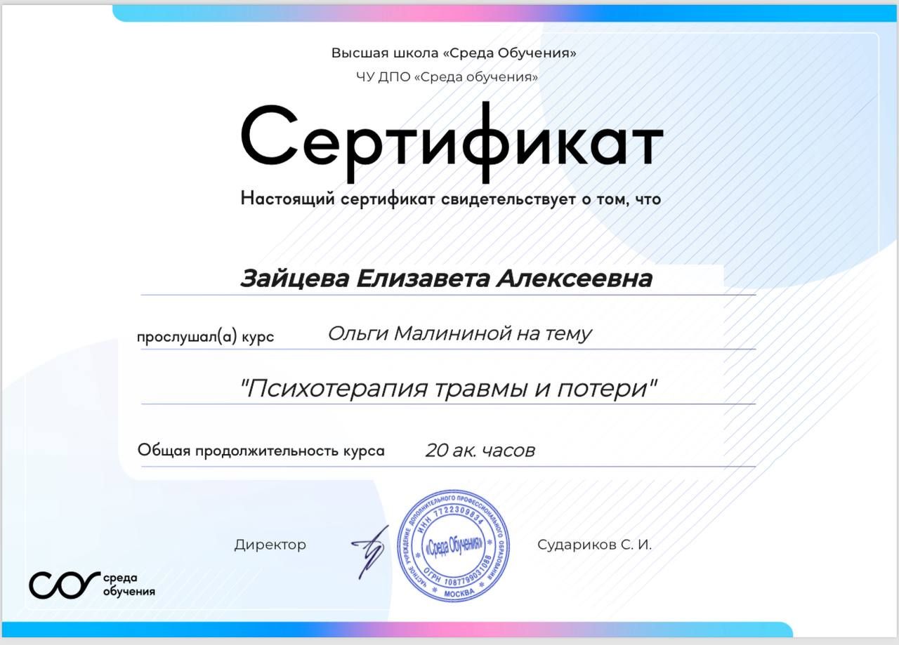 Диплом или сертификат Лизы Зайцевой, документ 5