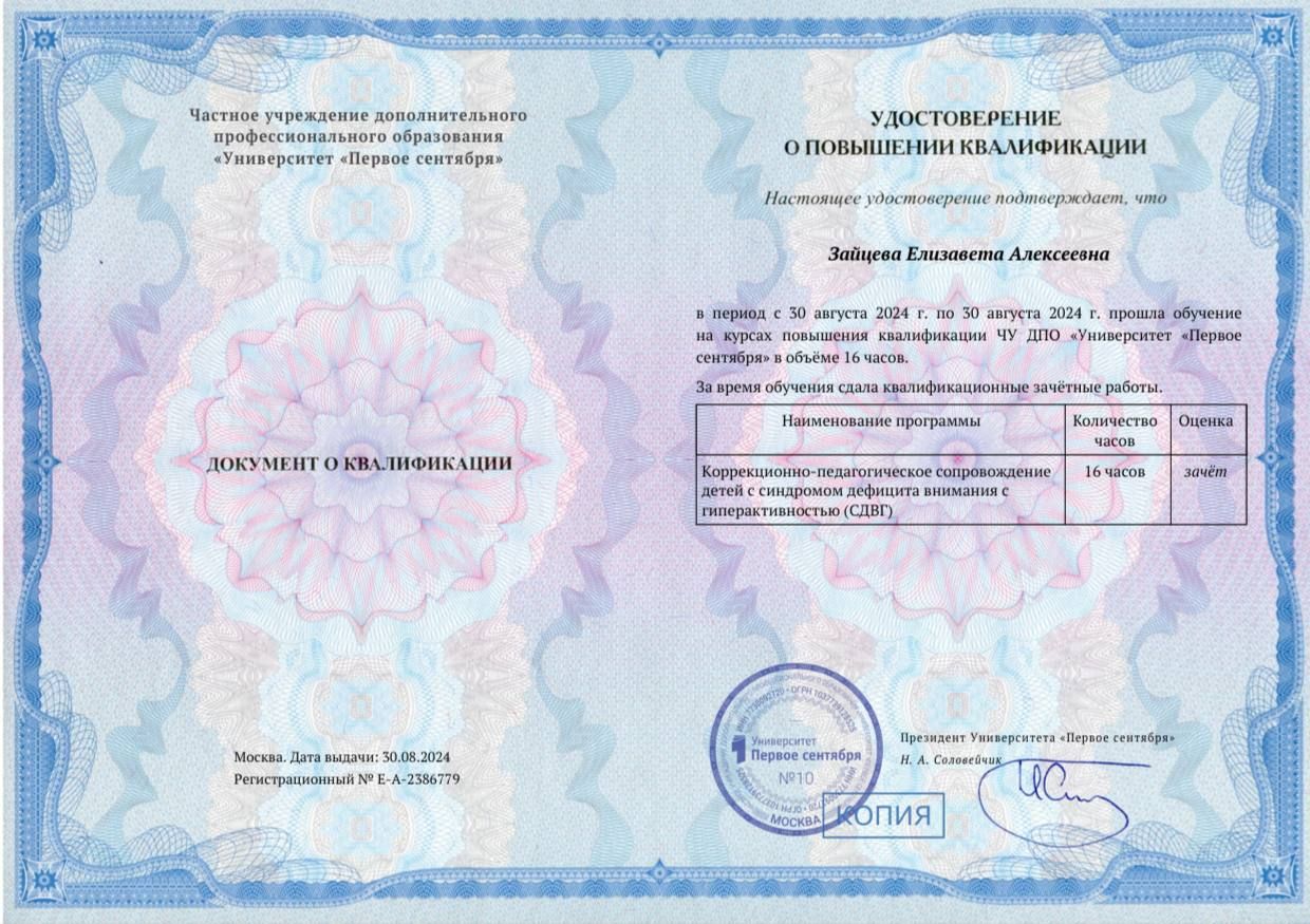 Диплом или сертификат Лизы Зайцевой, документ 10