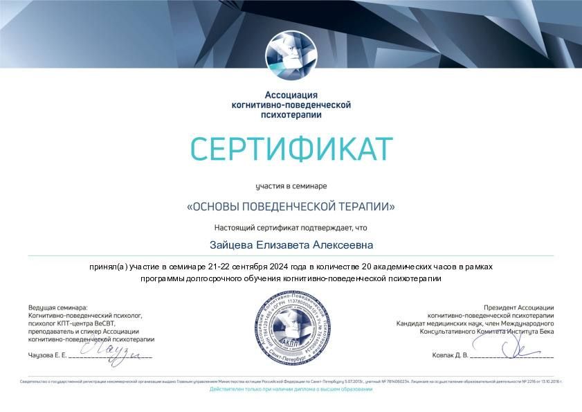 Диплом или сертификат Лизы Зайцевой, документ 13