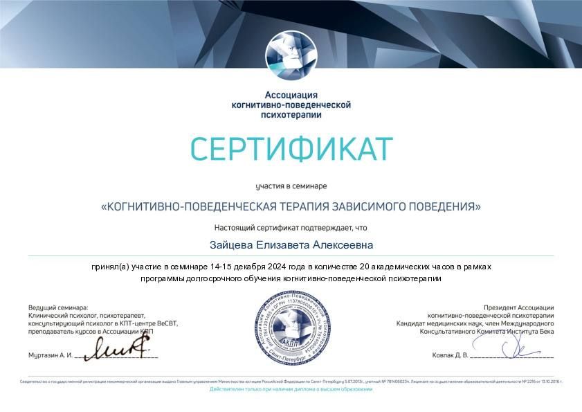 Диплом или сертификат Лизы Зайцевой, документ 15