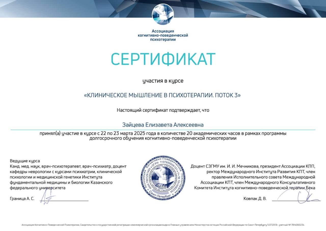 Диплом или сертификат Лизы Зайцевой, документ 21