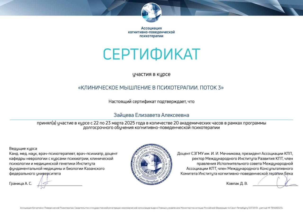 Диплом или сертификат Лизы Зайцевой, документ 28