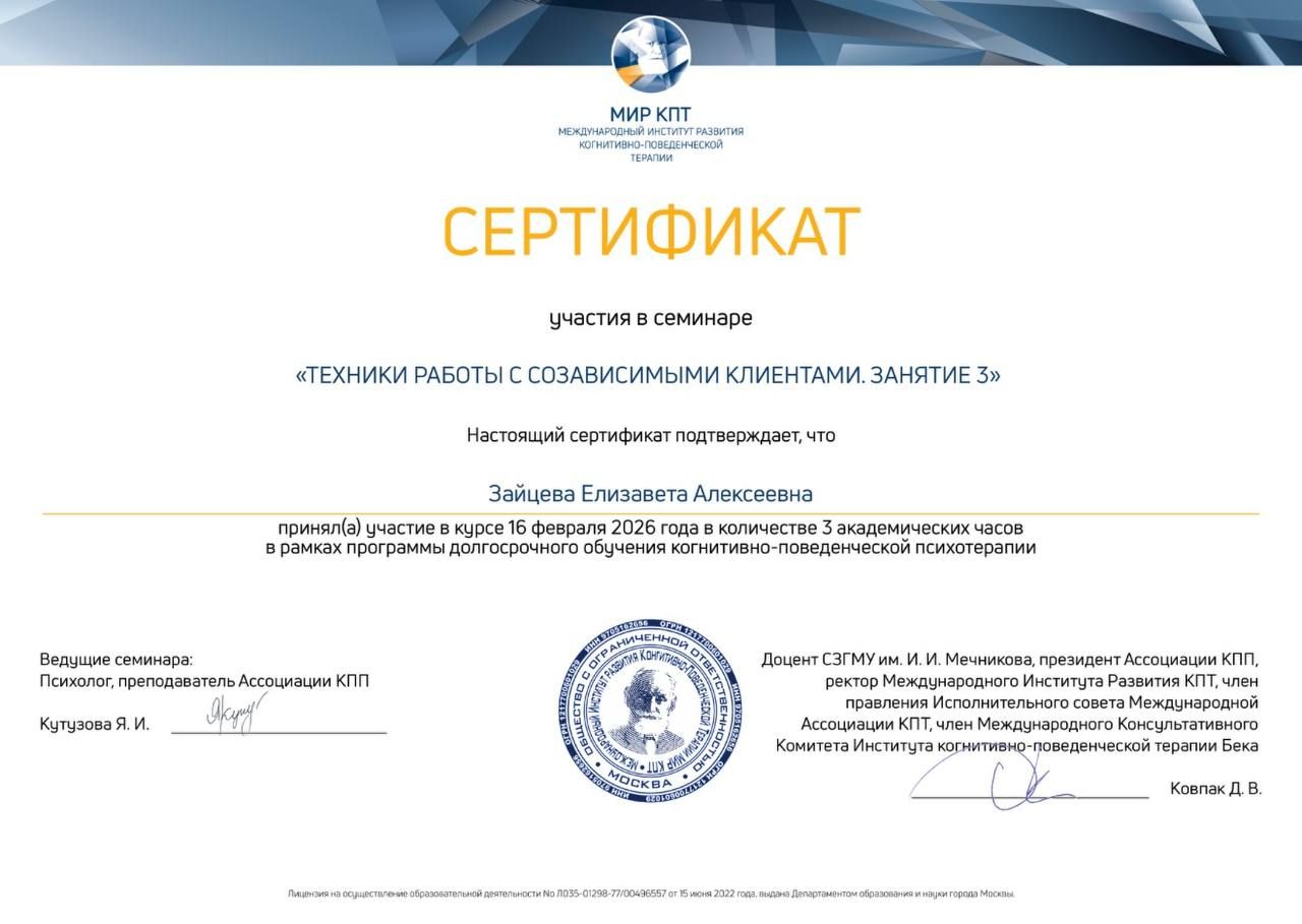 Диплом или сертификат Лизы Зайцевой, документ 31