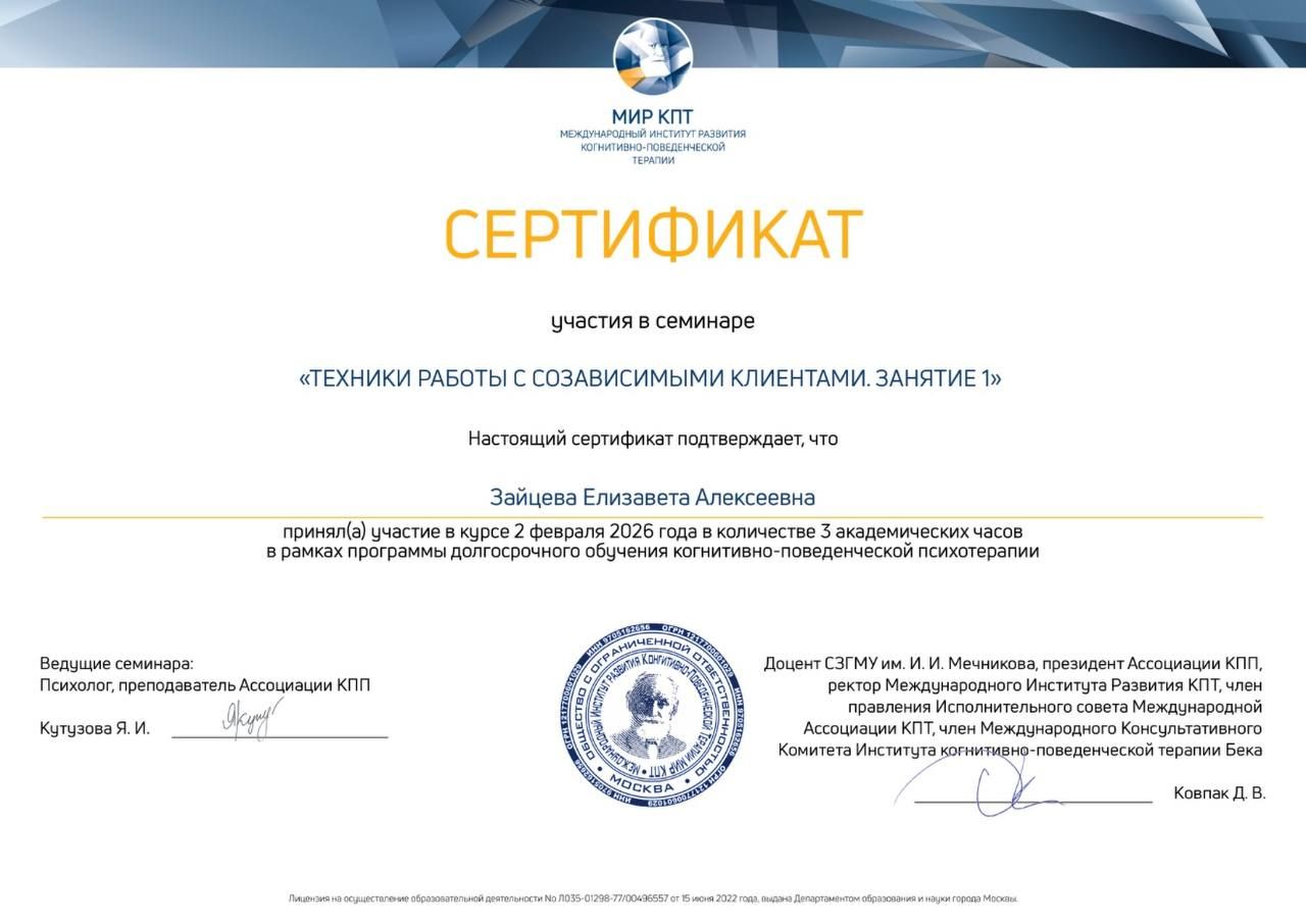 Диплом или сертификат Лизы Зайцевой, документ 33